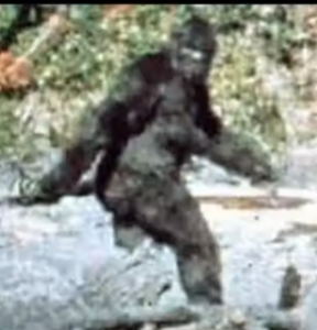 Bigfoot